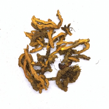 Huang Lian Coptis Root Chinese Goldthread