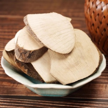 Gang Mei Gen Roughhaired Holly Root