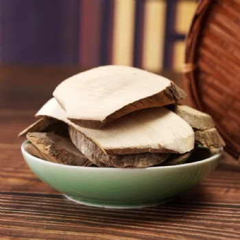 Gang Mei Gen Roughhaired Holly Root