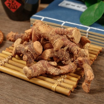 Gao Liang Jiang Galangal Alpinia officinarum