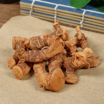 Gao Liang Jiang Galangal Alpinia officinarum