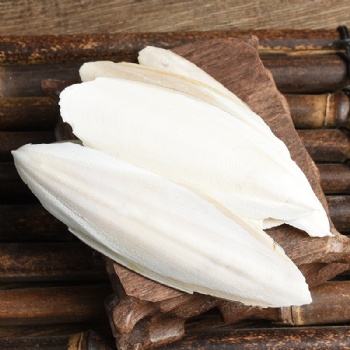 Hai Piao Xiao Cuttlebone Sepium Sepiae Endoconcha