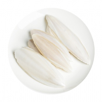 Hai Piao Xiao Cuttlebone Sepium Sepiae Endoconcha