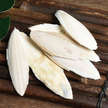 Hai Piao Xiao Cuttlebone Sepium Sepiae Endoconcha