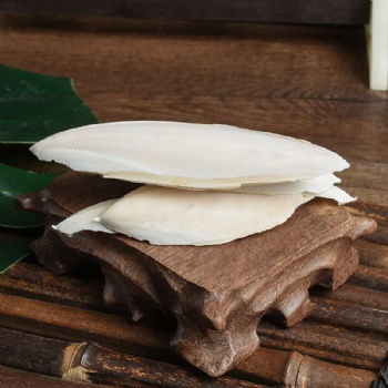 Hai Piao Xiao Cuttlebone Sepium Sepiae Endoconcha