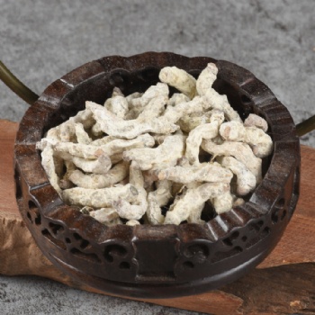 Jiang Can Stiff Silkworm