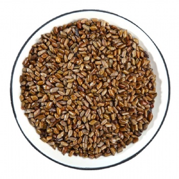 Jue Ming Zi Sickle Senna Seed semen cassiae