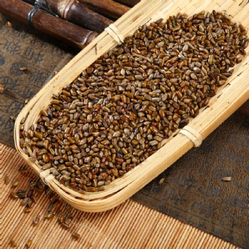 Jue Ming Zi Sickle Senna Seed semen cassiae