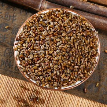 Jue Ming Zi Sickle Senna Seed semen cassiae