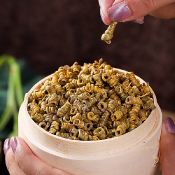 Shi Hu Noble Dendrobium Stem Herb