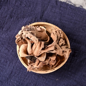 Mu Mian Hua red silk-cotton Bombax ceiba