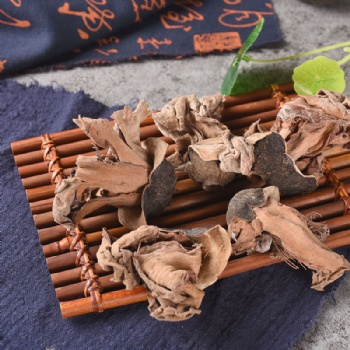 Mu Mian Hua red silk-cotton Bombax ceiba