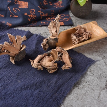 Mu Mian Hua red silk-cotton Bombax ceiba