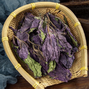 Zi Su Ye Cultibated Purple Perilla Leaf