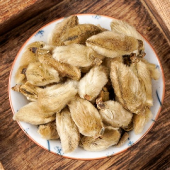 Xin Yi Hua Biod Magnolia Bud