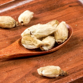 Xin Yi Hua Biod Magnolia Bud