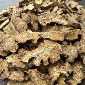 Chao Cang Shu Rhizoma Atractylodis