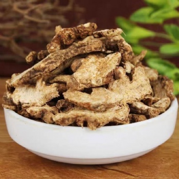 Chao Cang Shu Rhizoma Atractylodis