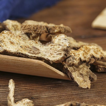 Chao Cang Shu Rhizoma Atractylodis