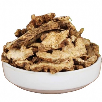 Chao Cang Shu Rhizoma Atractylodis