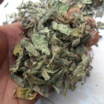 Di Dan Cao elephantopus scaber