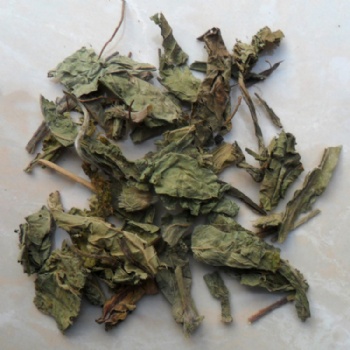 Di Dan Cao elephantopus scaber