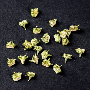 Ji Li Tribulus terrestris