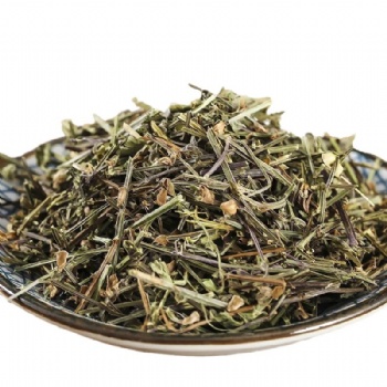 Ban Zhi Lian Sculellaria barbata herba