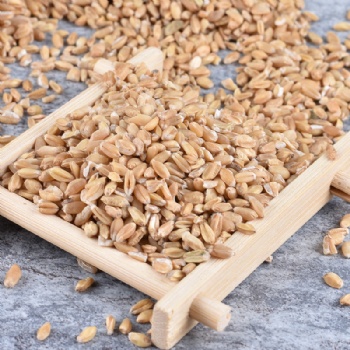 Fu Xiao Mai light wheat Fructus Tritici Levis