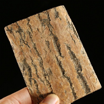 Yan Du Zhong Salted Eucommia Bark