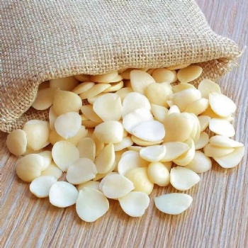 Xing Ren Apricot Seed almond