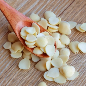 Xing Ren Apricot Seed almond