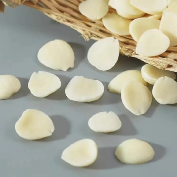 Xing Ren Apricot Seed almond