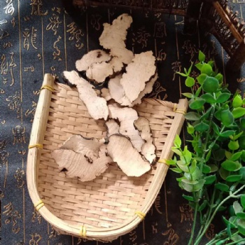 Zhu Ling Polyporus umbellatus Agaric