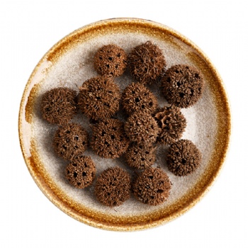 Lu Lu Tong Liquidambaris Fructus Sweetgum