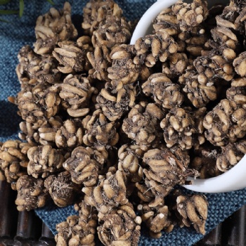 Mao Zhua Cao Ranunculi Ternati Radix ternate buttercup root