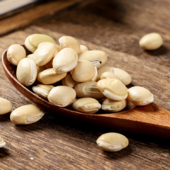 Bai Bian Dou white hyacinth Bean Lablab Semen Album