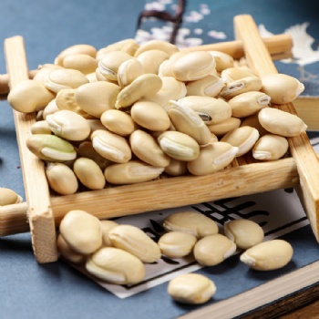 Bai Bian Dou white hyacinth Bean Lablab Semen Album