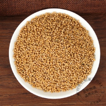 Bai Jie Zi White Mustard Seed semen brassicae