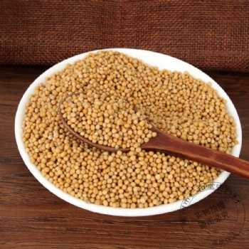 Bai Jie Zi White Mustard Seed semen brassicae