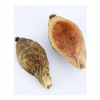 Da Fu Pi Areca Peel pericarpium arecae