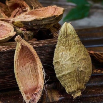 Da Fu Pi Areca Peel pericarpium arecae