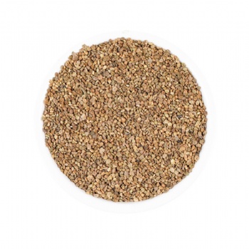 Di Fu Zi  Kochiae Fructus belvedere fruit