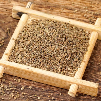 Di Fu Zi  Kochiae Fructus belvedere fruit