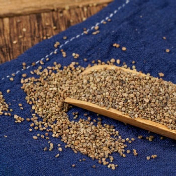 Di Fu Zi  Kochiae Fructus belvedere fruit