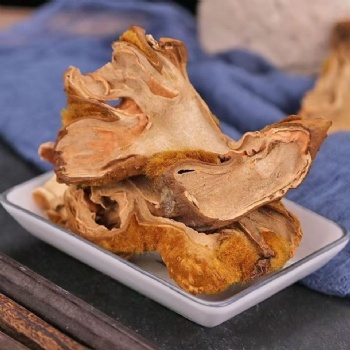 Gou Ji East Asian Tree Fern Rhizome Cibotii Rhizoma