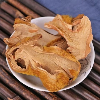 Gou Ji East Asian Tree Fern Rhizome Cibotii Rhizoma