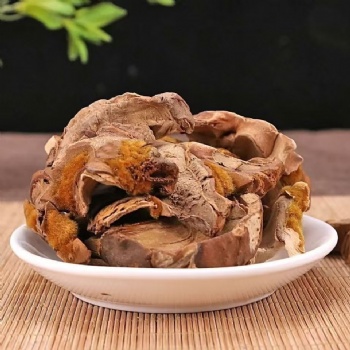 Gou Ji East Asian Tree Fern Rhizome Cibotii Rhizoma