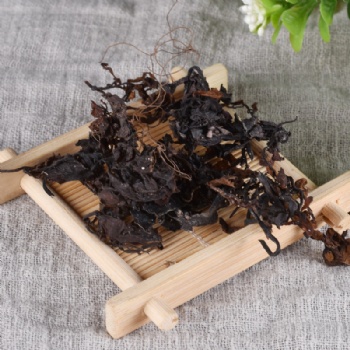 Hai Zao Seaweed alga