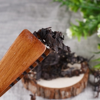 Hai Zao Seaweed alga